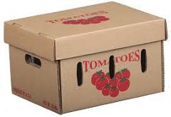 TOMATO BOX